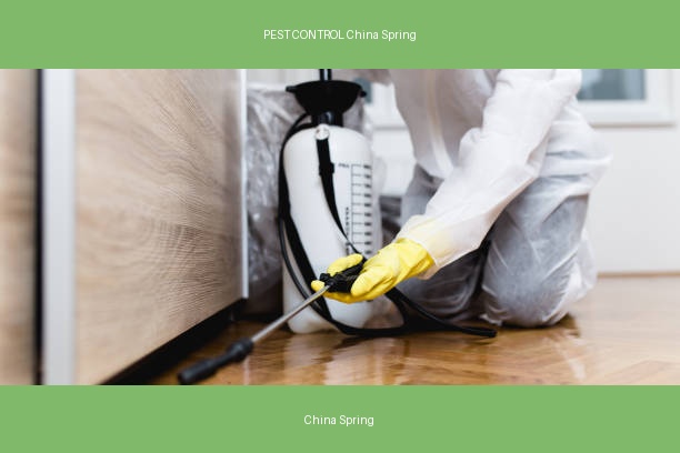 PEST CONTROL China Spring